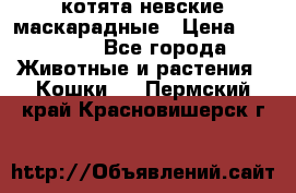 котята невские маскарадные › Цена ­ 18 000 - Все города Животные и растения » Кошки   . Пермский край,Красновишерск г.